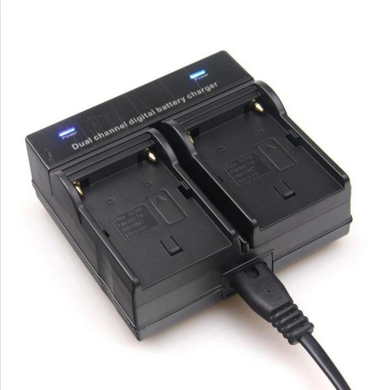 Caricabatterie Doppio DSTE Per Sony NP-FM50, FM55H, FM500H, QM71, QM91, F550, F750, Con Adattatore Auto E Cavi Intercambiabili Per Viaggi