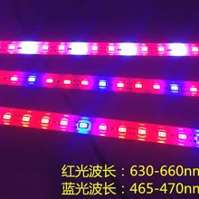 30 шт./партия, лампа для выращивания растений, синий, красный аквариум теплица, гидропонная установка, MSD5630 DC 12 В 0,5 м/9 Вт, жесткий бар