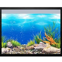 Download 620 Background Putih Aquarium HD Gratis