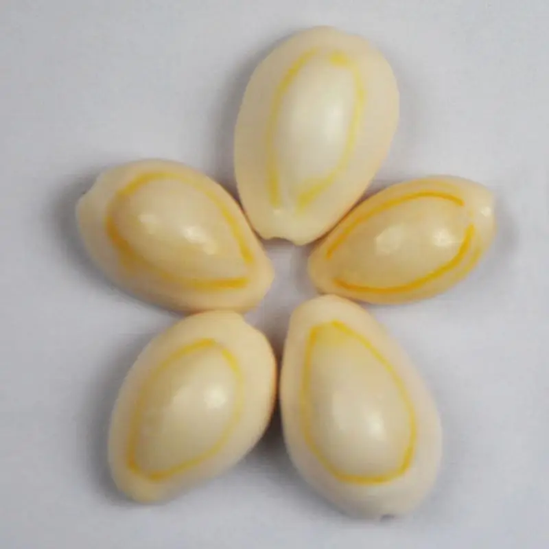 50 шт./компл. милые Natural Sea Shell Loose Beads аксесуары 14-16 мм раковины орнамент в форме ракушки декора аквариума