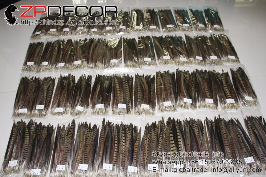 Ringneck Pheasant Tail Wholesale Feathers (28)