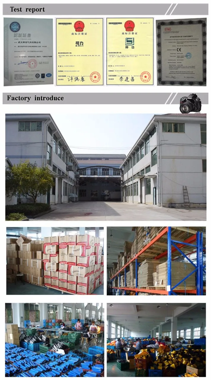 factory introduce
