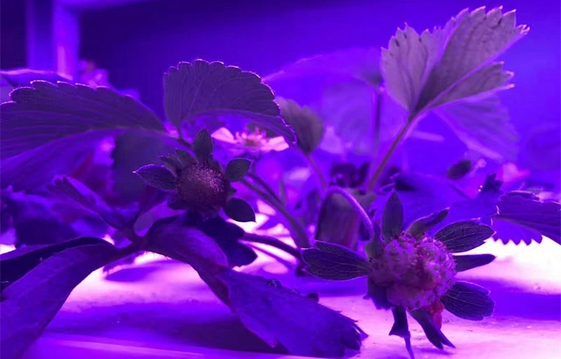 mmexport1520147479675