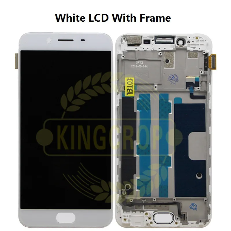 R9S LCD with frame white-