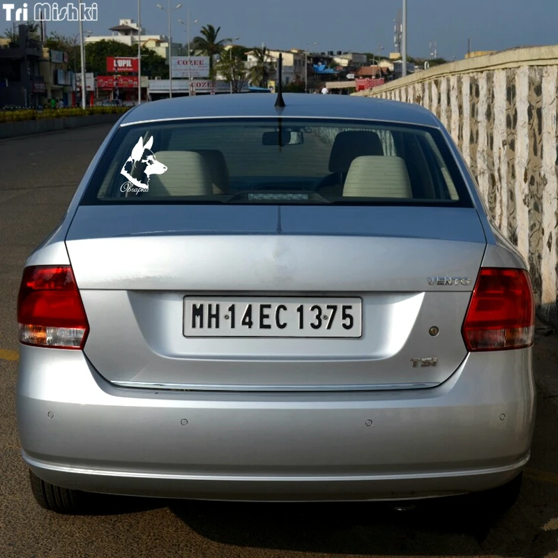 Tri Mishki HZX180 18.7 на 15см 1 4шт наклейки авто овчарка Бельгийский Малинойс в машине