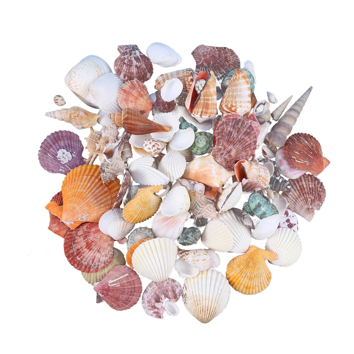 130pcs Colorful Scallop Decoration Mini Sea Shells Mixed Beach Seashells Nonporous Seashells Accents for Candle Making Home 130pcs Colorful Scallop Decoration Mini Sea Shells Mixed Beach Seashells Nonporous Seashells Accents for Candle Making Home