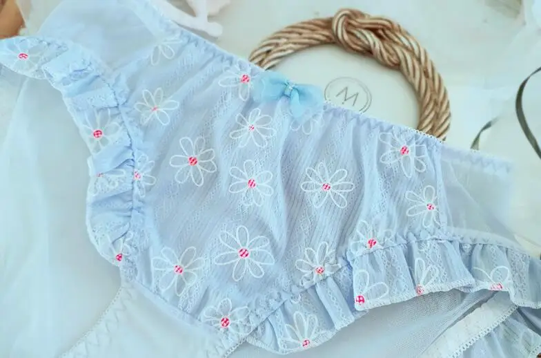 Blue Новое поступление, реальные фотографии, большие размеры, M, L, XL, 3XL, милое хлопковое Сетчатое нижнее белье в стиле Лолиты с цветочным принтом, нижнее белье WP590 - Цвет: Blue