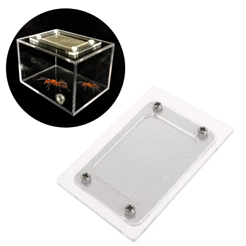 

Ant Farm Cover Acrylic Stainless Steel Square Breathable Cap Anti Escape Prevent Nest Home Caps Pet Habitat Supplies Accessories