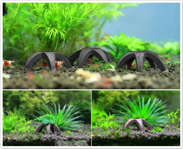 3pcs redware aquarium shrimp