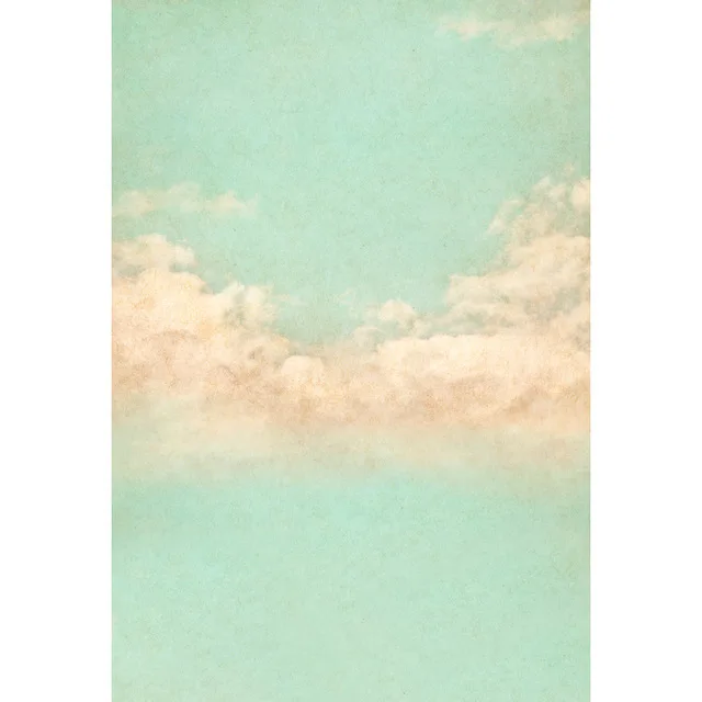 Seamless-Vinyl-Photography-Backdrop-Cartoon-Cloud-Newborn-Baby-Computer-Printed-Children-Backgrounds-for-Photo-Studio-S.jpg_640x640
