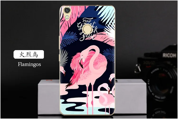  Flamingos