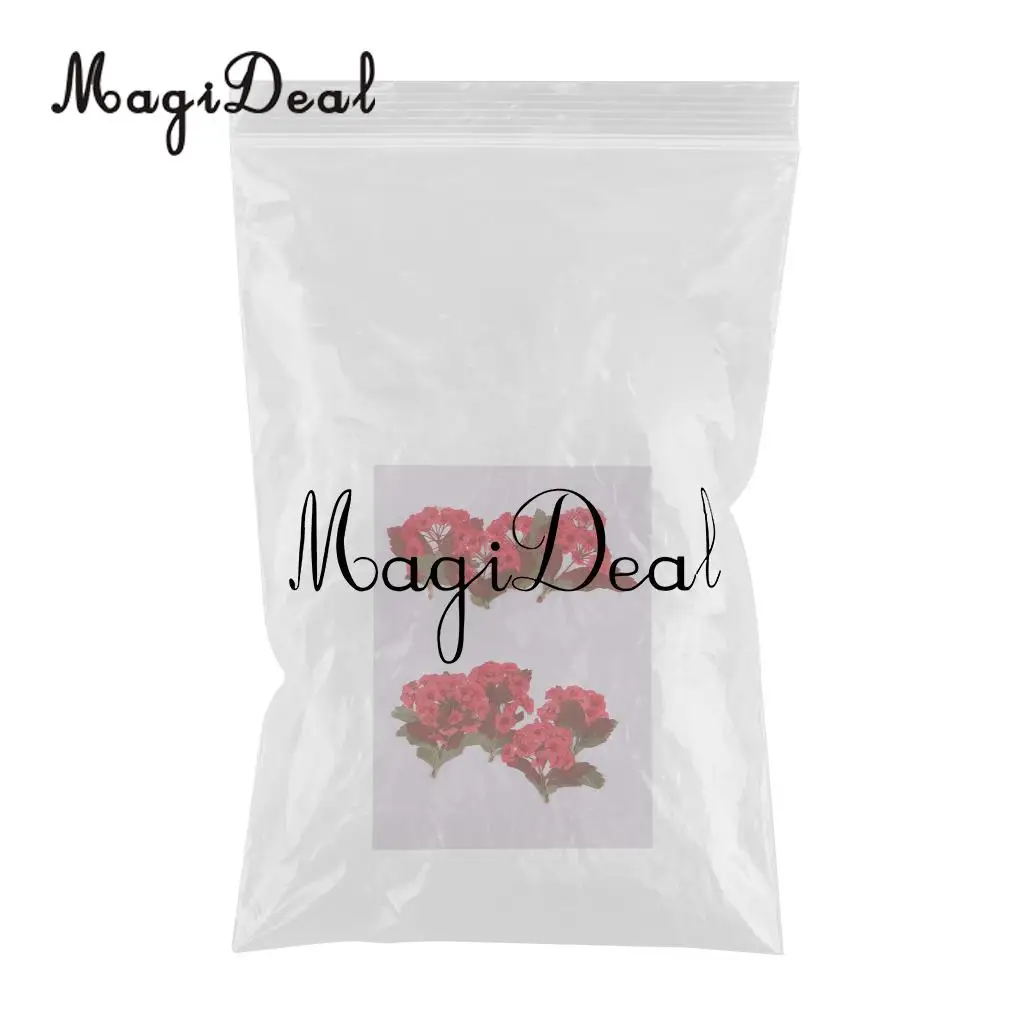 10pcs Red Flower Natural Real Pressed Dried Flower for Jewelry Making Handmade DIY Resin Ornament Crafts