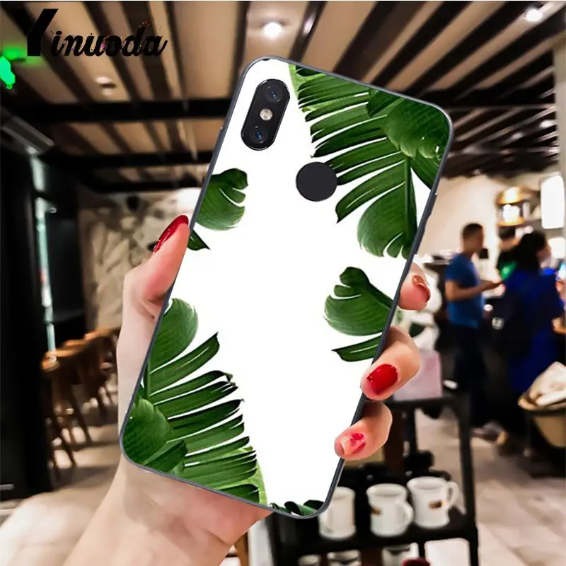 Palm tree Leaves pattern  