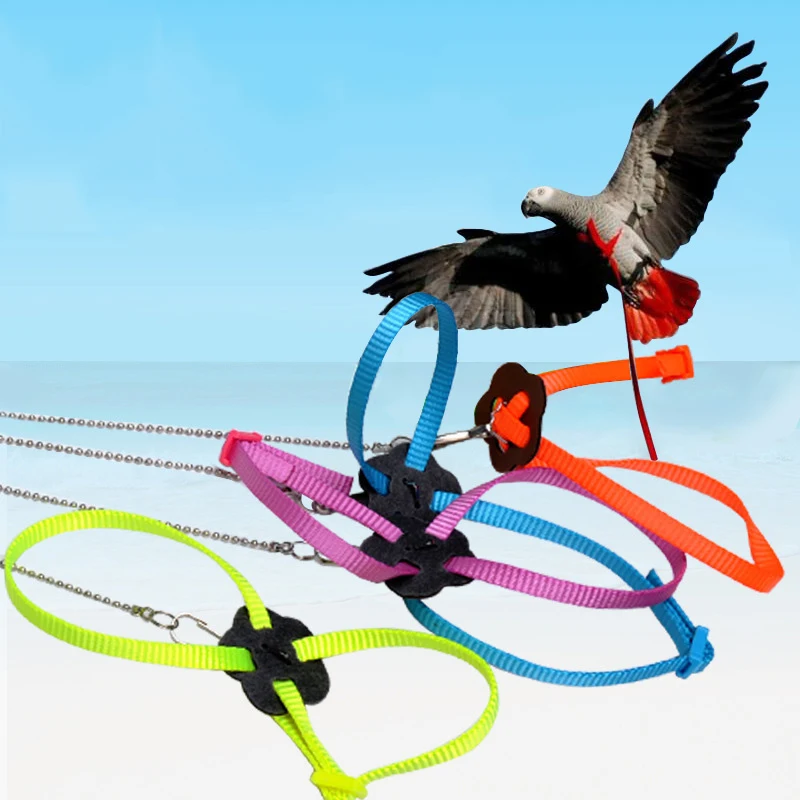 Multi Color Light Soft Fashion for Small Reptiles Pets Small Animal Nylon Leash(Purple Adjustable Lizard Harness Leash