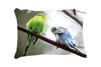 

Animals Feathers Customized Cotton Linen Rectangle Throw Pillow Case Decorative Cushion Cover Pillowcase 20*30 Inch(50*76cm)
