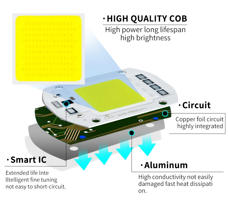 Светодиодный COB чип лампа 10 Вт 20 Вт 30 Вт 50 Вт 70 Вт 100 Вт AC 220 В Smart IC нет необходимости драйвер COB светодиодный светильник прожектор Diy освещение