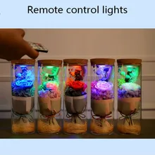 Китайский День Святого Валентина творческие подарки светящаяся бутылка желаний красочная Роза стеклянная крышка подарок на день рождения вечная жизнь цветы