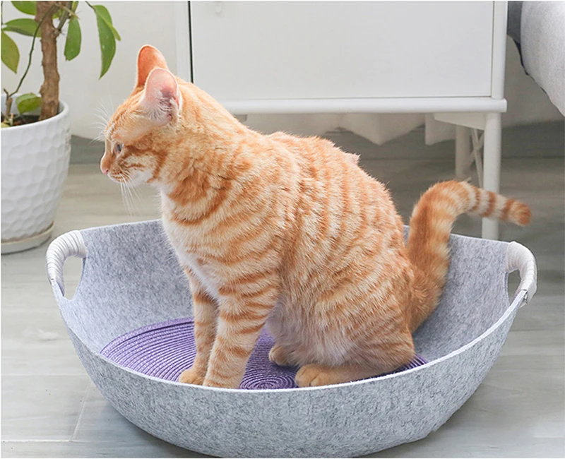 10975346749_1647651945