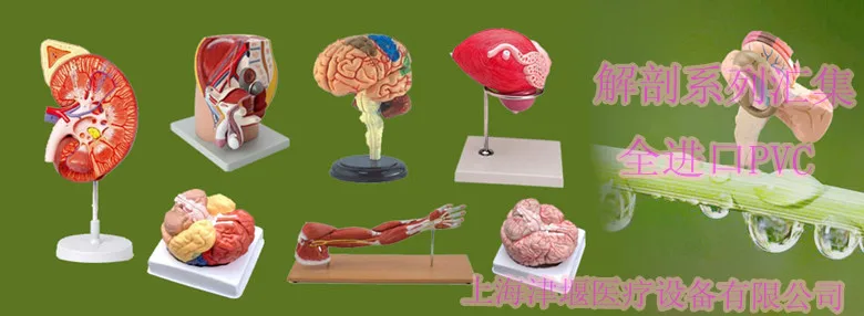 //img.alicdn.com/imgextra/http://img02.taobaocdn.com/imgextra/i2/466366108/T2Cpr_XodXXXXXXXXX_!!466366108.jpg