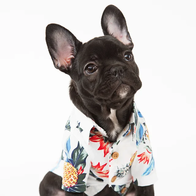 Summer Hawaiian Shirt For Pet