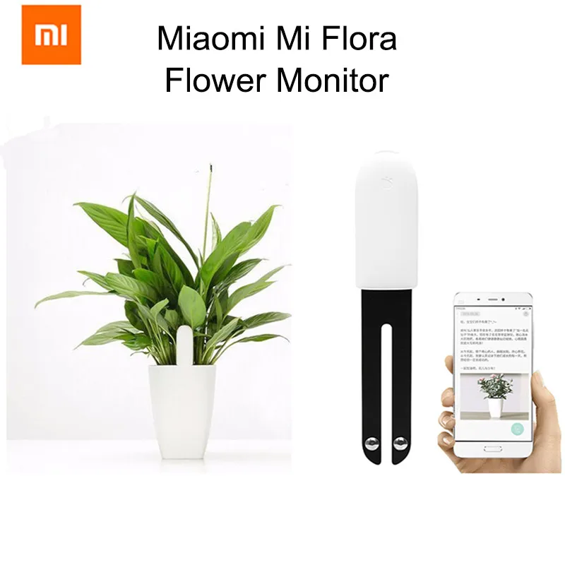Xiaomi Mi монитор Флора международная версия цифровые растения Трава цветок уход