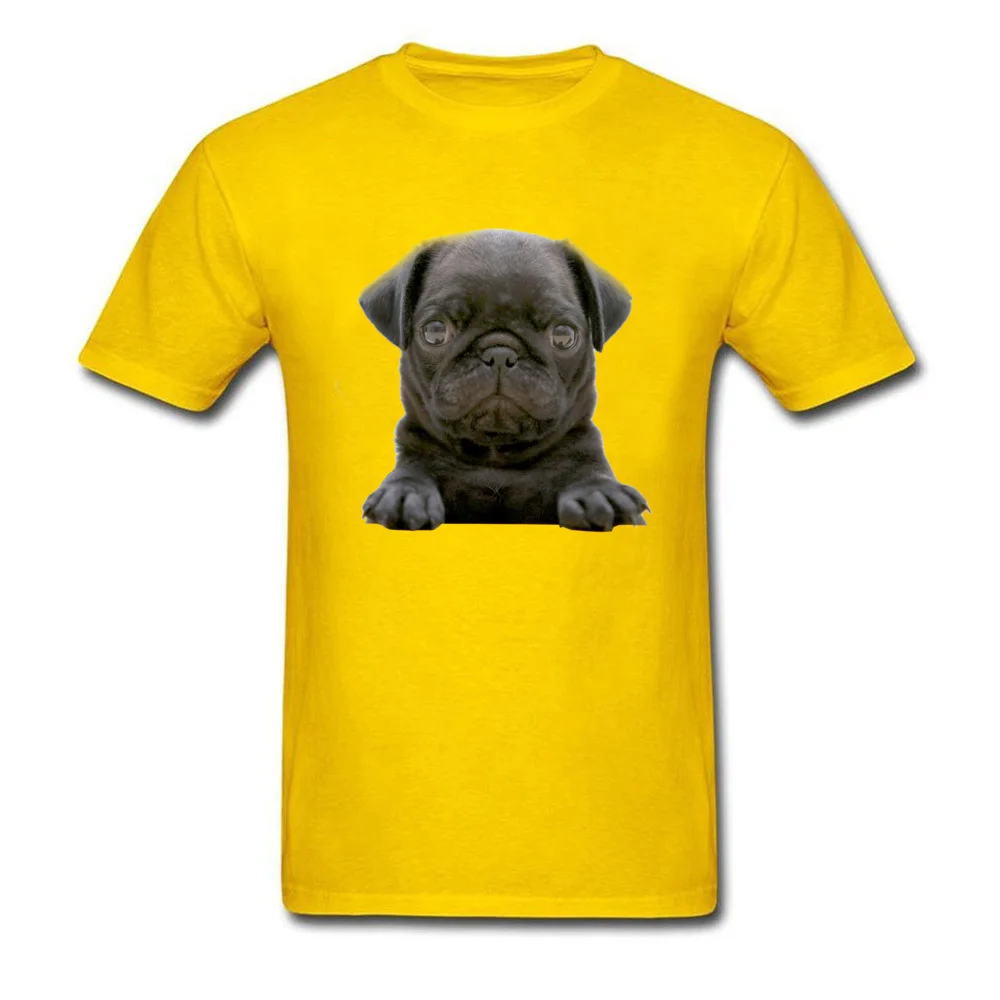 black_pug_puppy-wallpaper-1920x1080_yellow