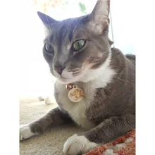 Деревянная идентификационная бирка для кошек/Выгравированная на заказ бирка с адресом для домашних животных/Милая метка для мыши с изображением улитки