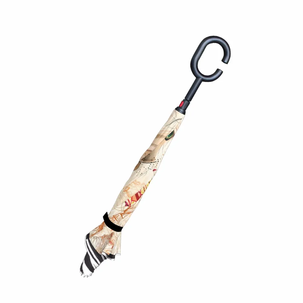 g2039193p183c217s313_3