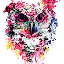 Paint by Numbers Kits for Adults DIY 40599