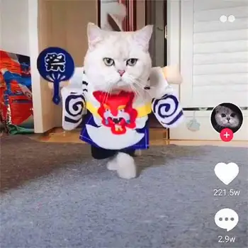 

New Pet Dog Cat Halloween Costume Party Funny Cosplay Suits Puppy Kitten Japan Style Outfit for Dress up Party Costume Supplies