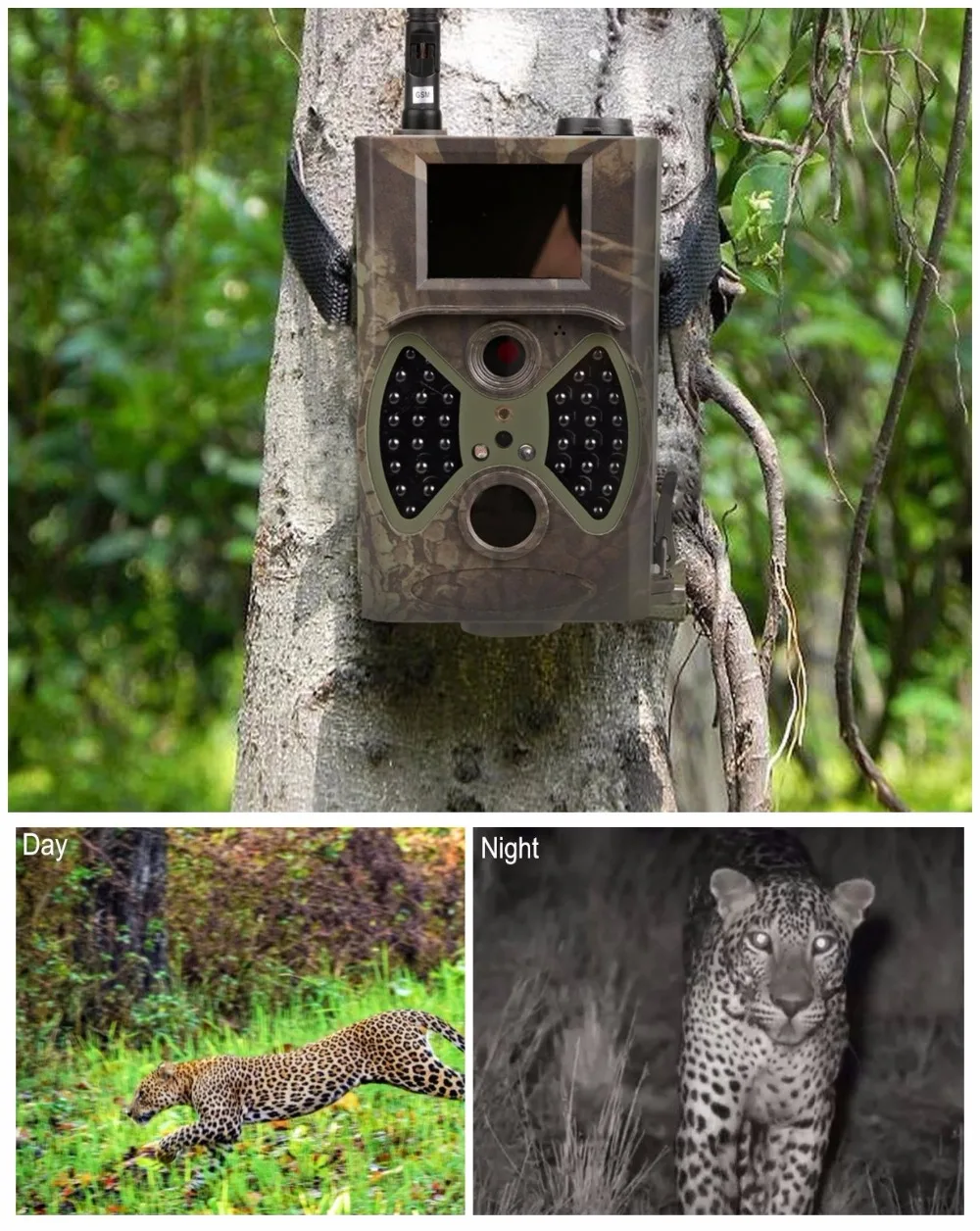 Hunting Camera photo trap (2)