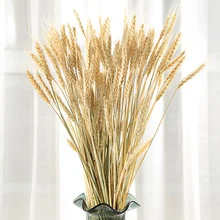 100 шт осенний пшеничный цветок уха натуральные сухоцветы для свадебной вечеринки украшения для самодельного изготовления скрапбукинга домашний декор пшеничный букет