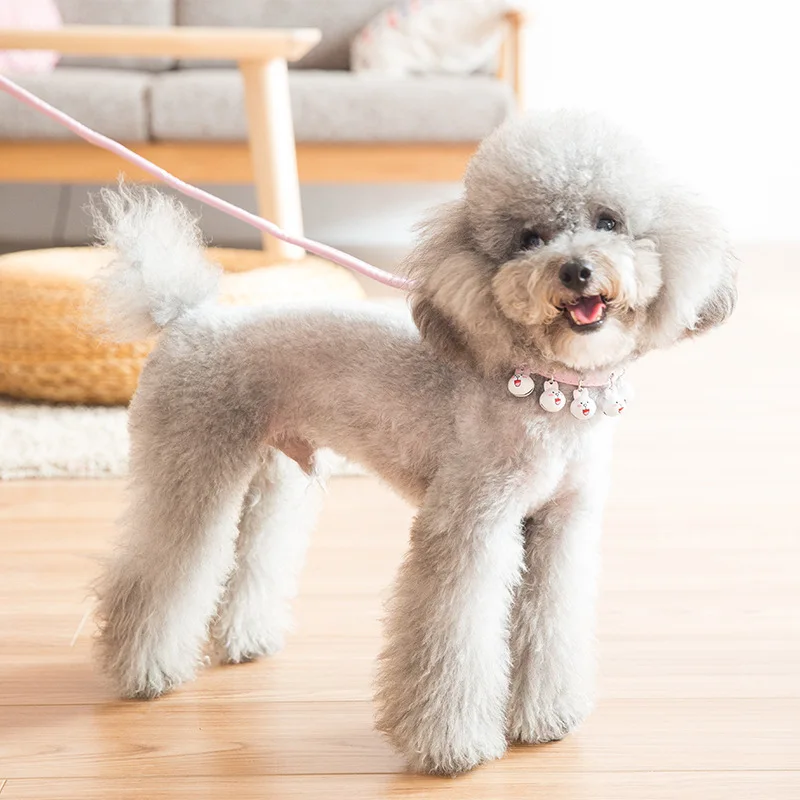 

dog collar Lovely Bell dog collar pet traction leash small dog traction belt Teddy dog chain walking dog leash supplies