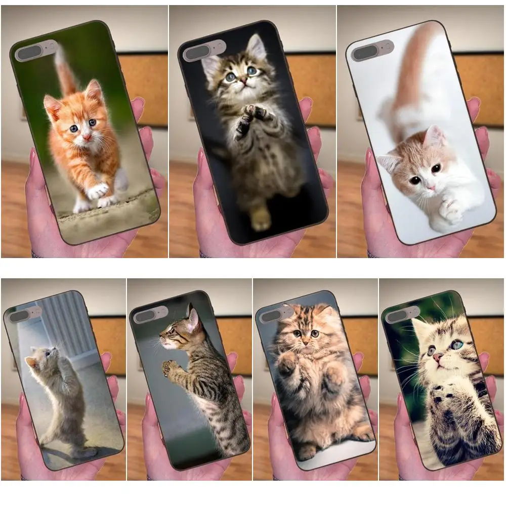 

Pretty Praying Kittens Cats Print For Samsung Galaxy I9082 Note 4 8 9 S3 S4 S5 S6 S7 S8 S9 S10 Edge Plus Lite G313 Silicone Case