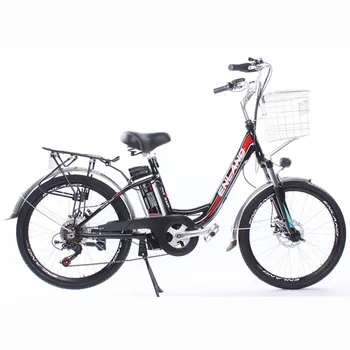 

Adult Electric Bicycle 24 Inch Two Wheels Electric Bikes 48V 250W Max Speed 29KM/H Two Wheels Electric Scooter Seat