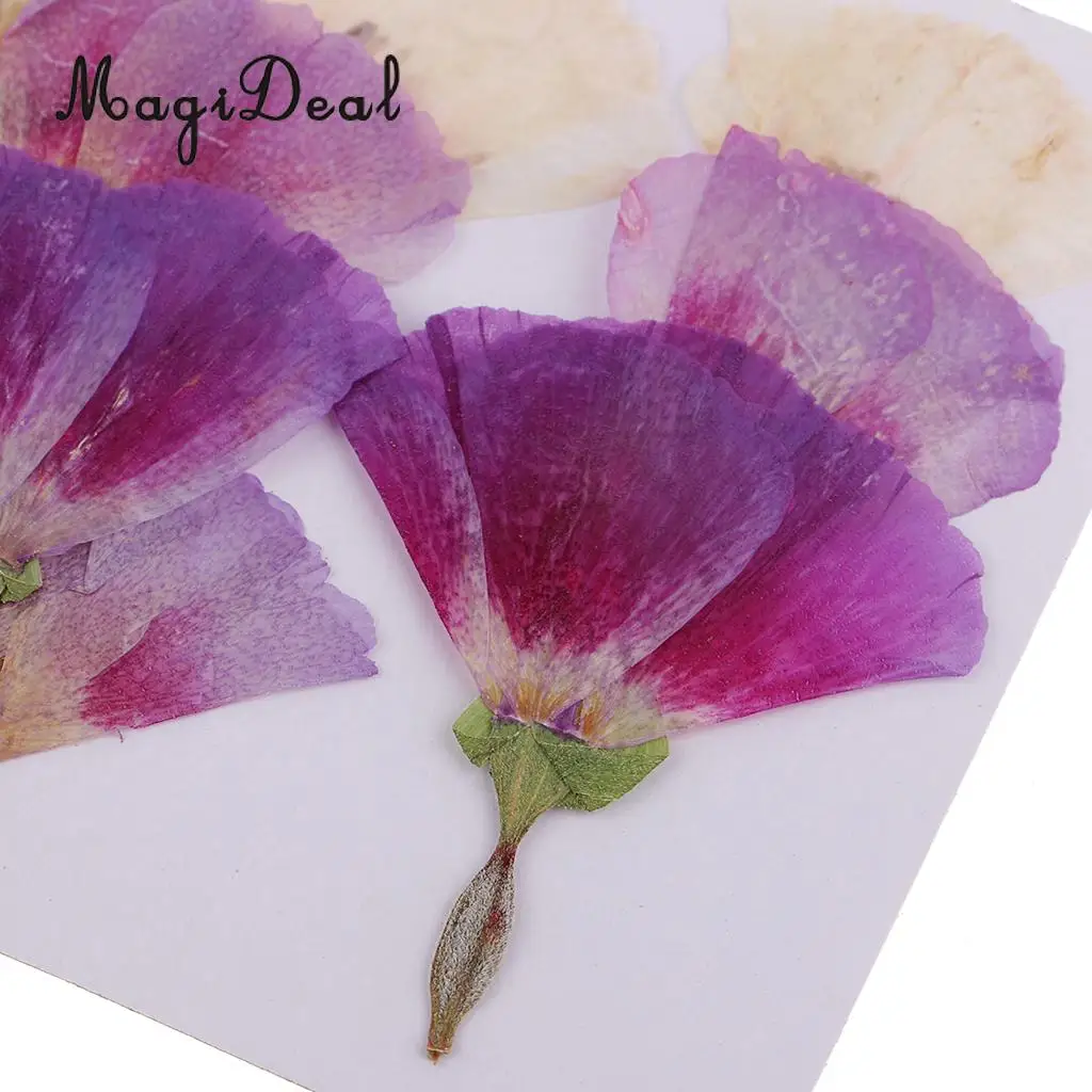 12pcs Beautiful Godetia Real Pressed Natural Dried Flowers for Art Craft Scrapbooking Card Making Resin Jewelry Making Craft DIY
