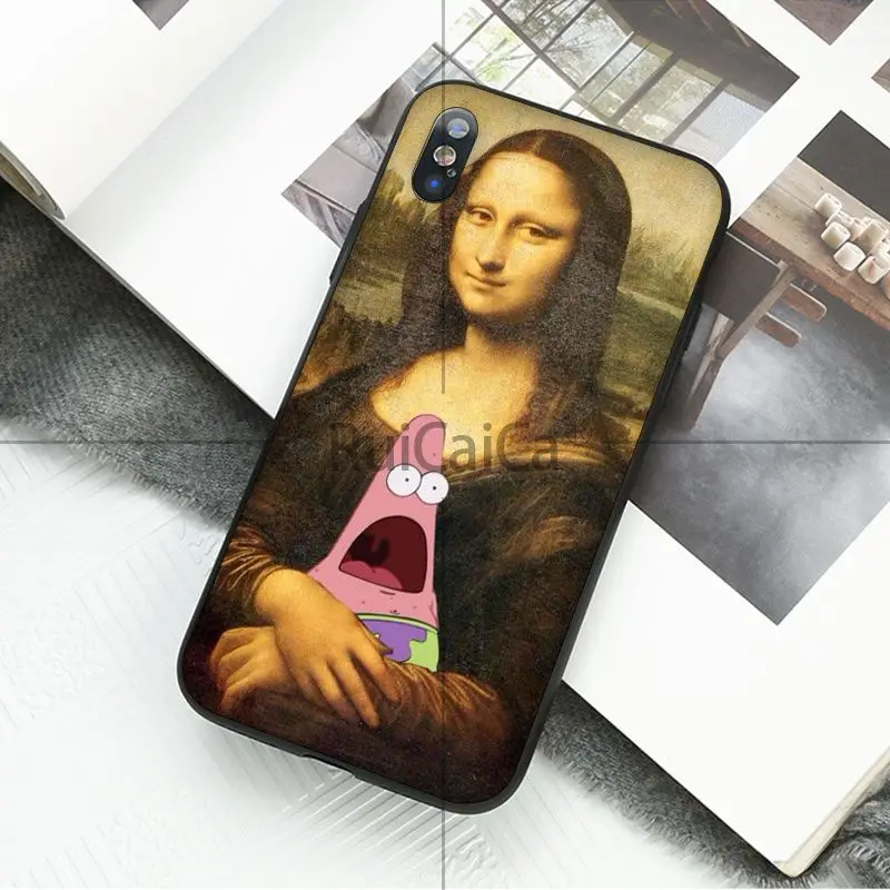 Funny Leonardo da Vinci Mona Lisa