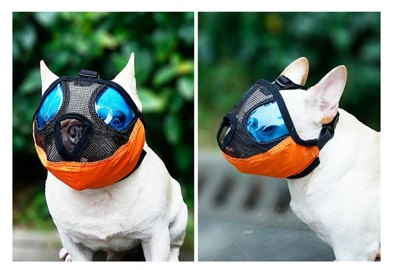Dog Muzzle (17)