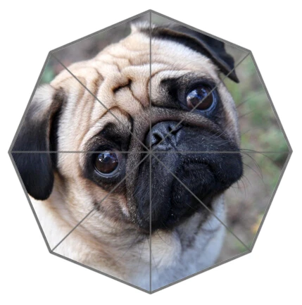 Najtaniej Przyjaciel prezent urodzinowy dobrej jakości parasol słodkie i zabawne mops pies Patten12 dla dzieci przenośne składane parasole parasol ogrodowy