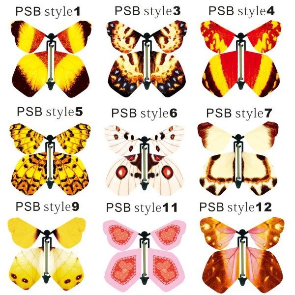 b3