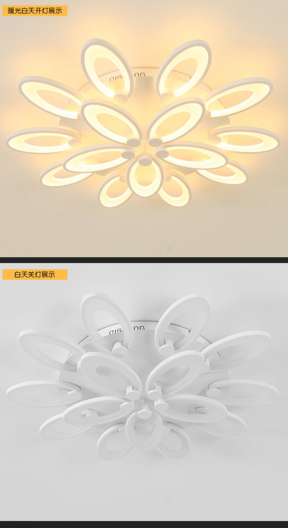 gorgeous ceiling light foyer-09