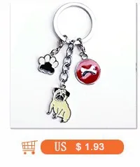 HTB1OkKBannI8KJjSszgq6A8ApXaG