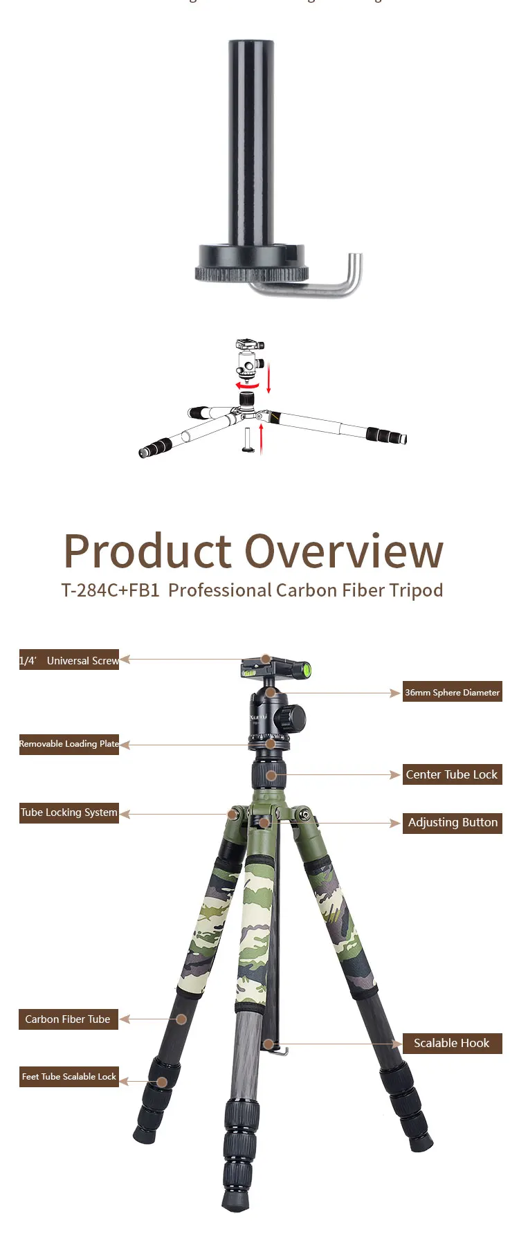 T-284C+FB1__02