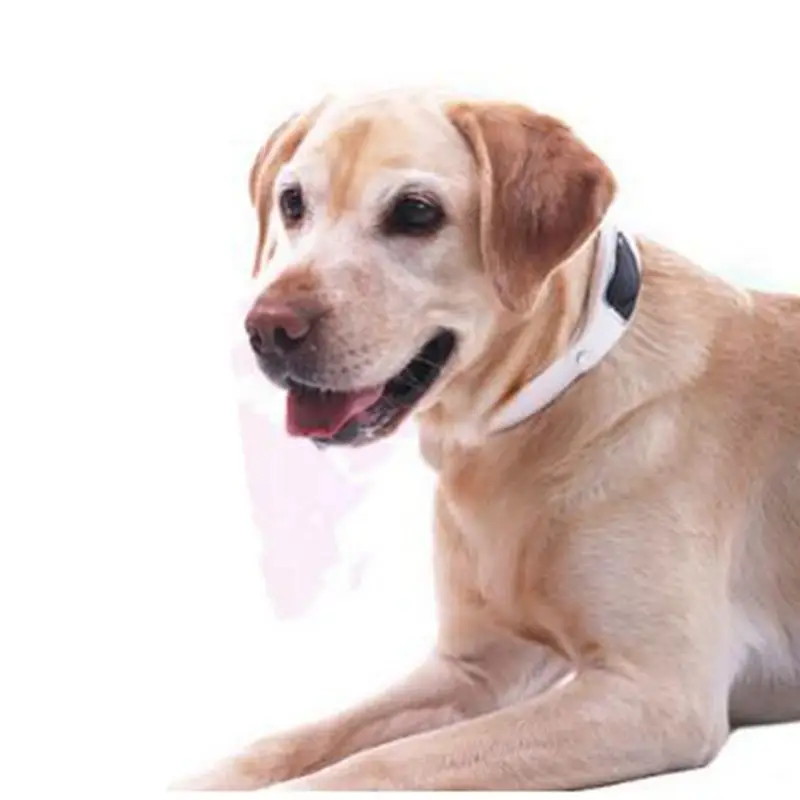 Waterproof Dog Cat Pets GPS Collar iOS Andriod APP Magnetic Charging Geofence GS
