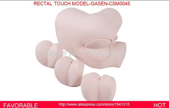 

HUMAN ANATOMY MEDICAL ORGAN NURSING MODEL MEDICAL TRAINING MANIKINS MEDICAL SIMULATION MODELS RECTAL TOUCH MODEL-GASEN-CSM0045