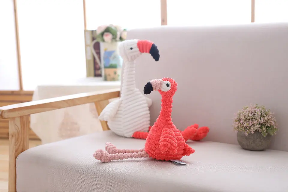 BZ6A0290