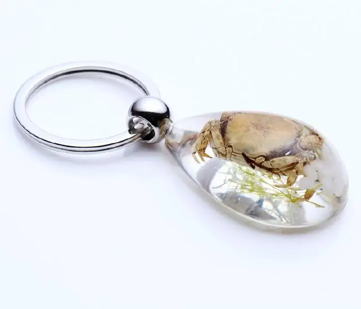 FREE SHIPPING 20 PCS Real River Crab Clear Resin Keychains Drop Shape