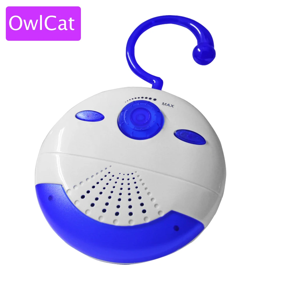 OwlCat1
