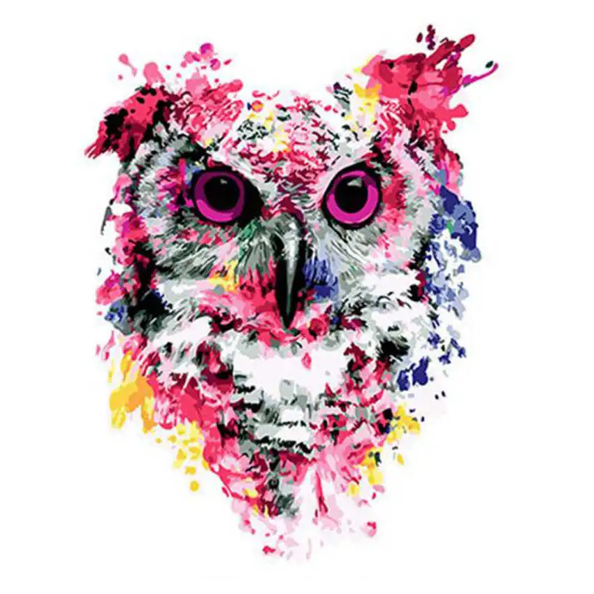 

Digital Oil Painting Coloring By Numbers,DIY Hobby At Home,Painting By Numbers Colorful Owl