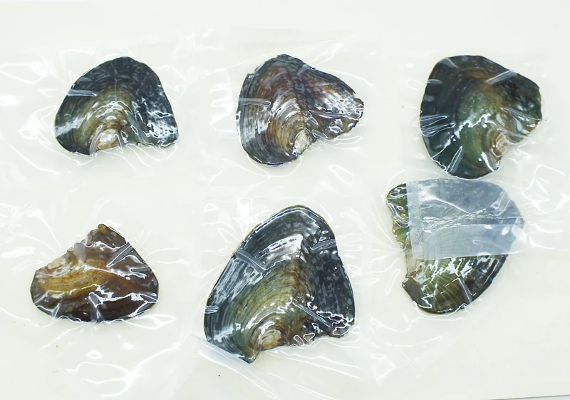 

6PCS / LOT 6-7MM vacuum packaging, hope pearl oyster (100% natural oyster)